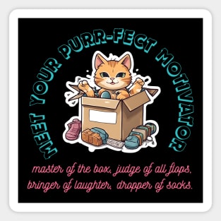 Box King, Flop Critic, Laughter Guru, Sock Ninja. Meet Your Purr-fect Motivator. Magnet